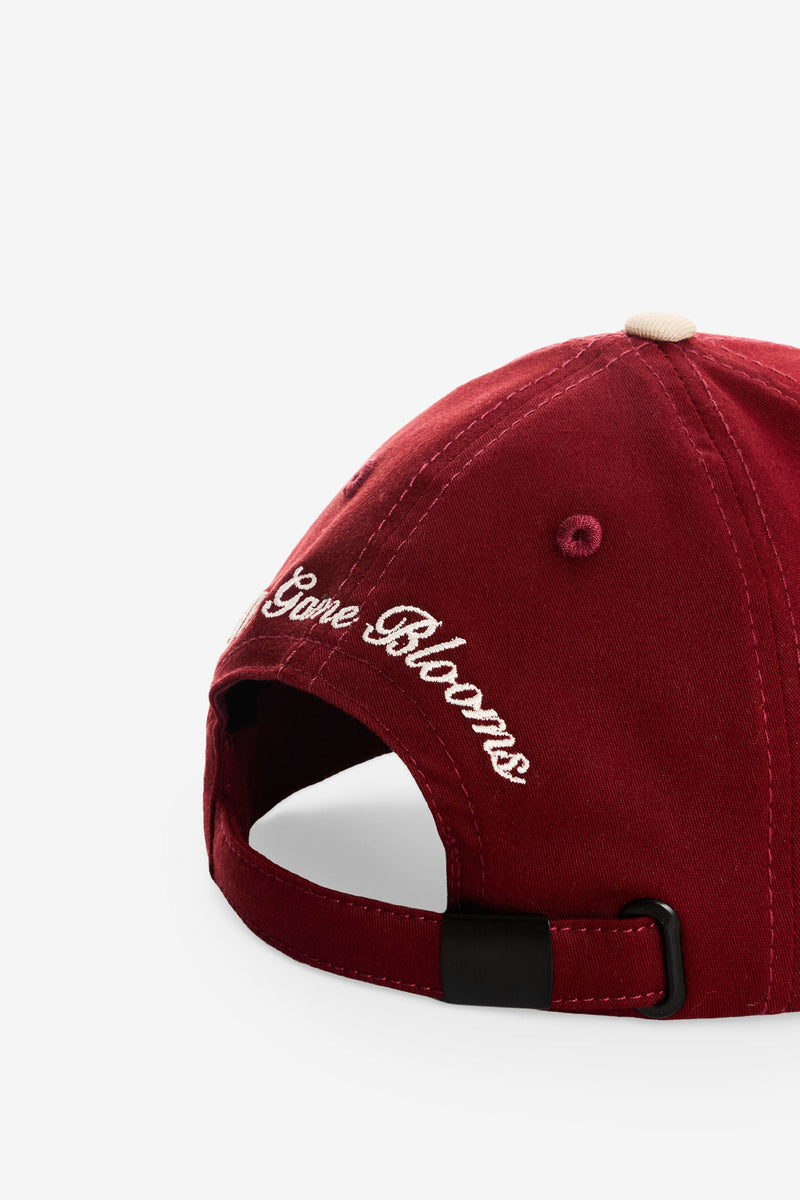 Men's Baseball Cap
