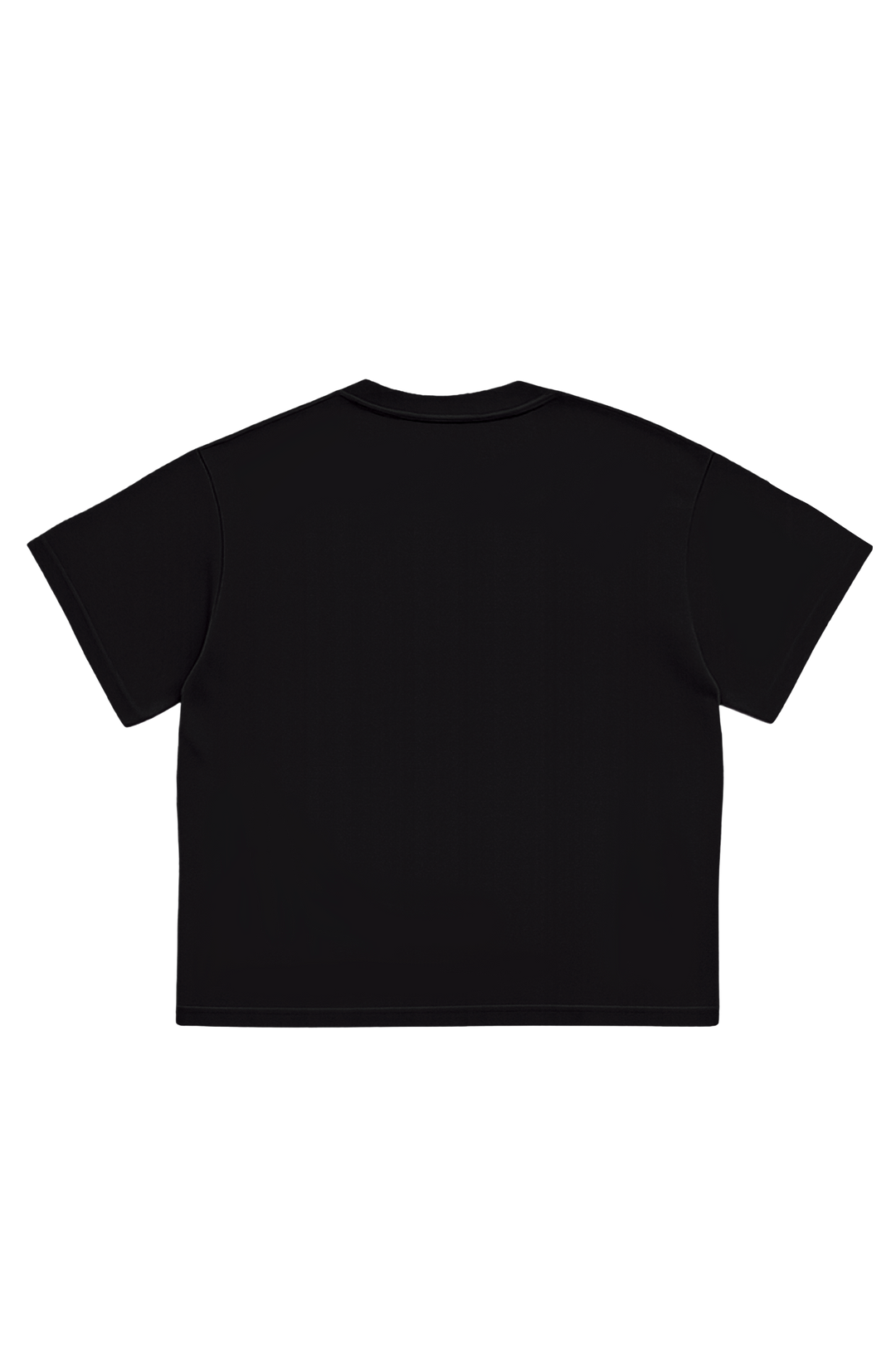 LA CANCION HIT T-SHIRT