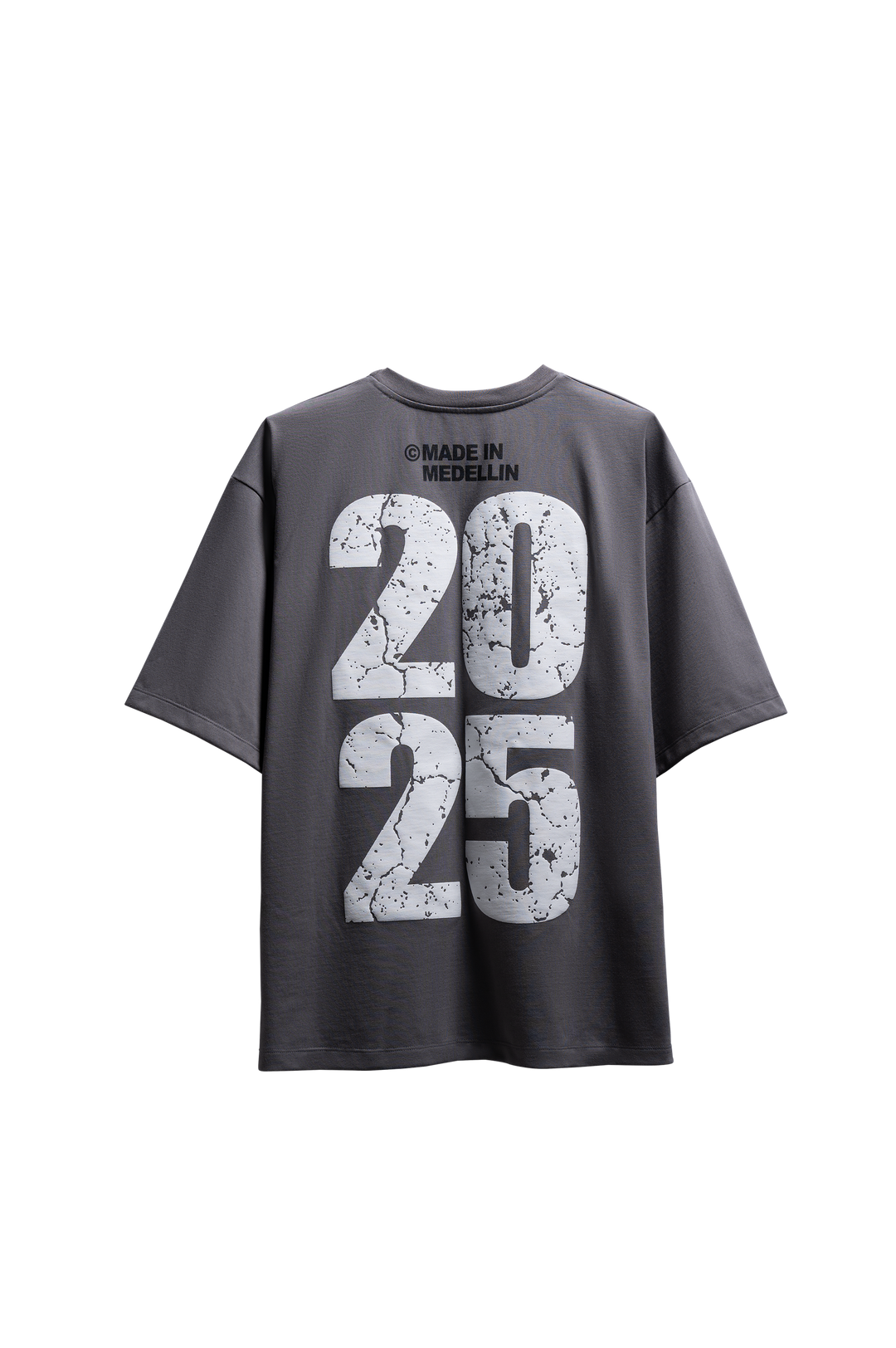 RAYO TOUR 2025 GREY T-SHIRT