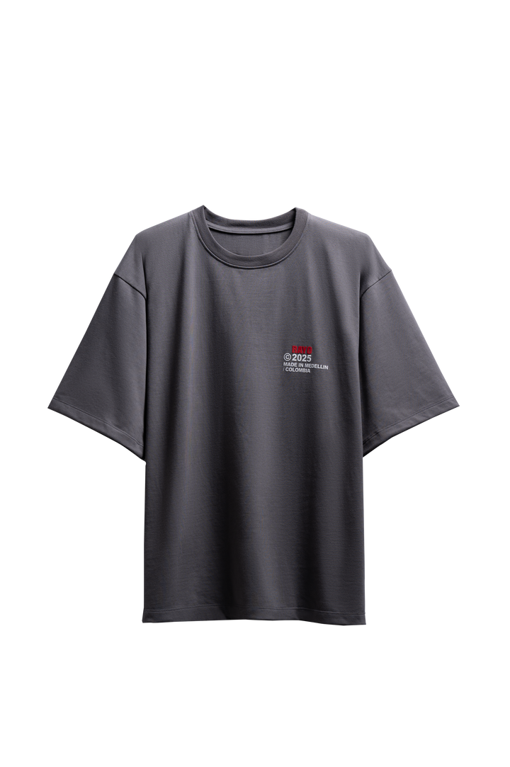 RAYO TOUR 2025 GREY T-SHIRT
